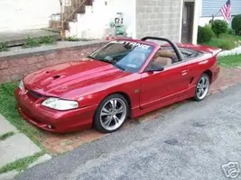 mustang.webp