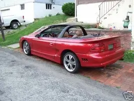 mustang2.webp