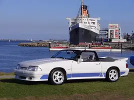 saleen91.webp