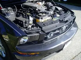 P9240018c.webp