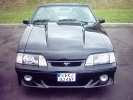 cervini front 2a.webp