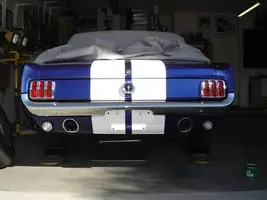 Stang Net 2.webp