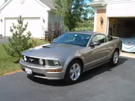 DSCFline0121.webp