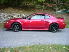 cobra 003 (Small).webp