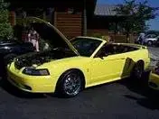 stangshow.webp