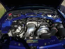 DSCN0517_2.webp