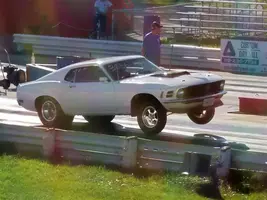 Mustang 3 (Small1).webp