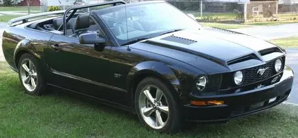 best_mustang_2 compressed 36k.webp