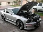 Mustang 1 fr rt hood upSMALL.webp