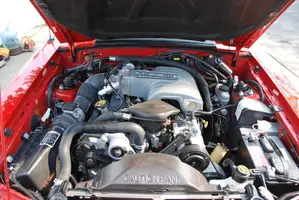 DSC_0876.webp