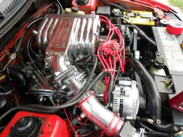 DSCN0115.webp