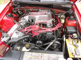 DSCN0114.webp