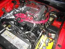 DSCN0109.webp