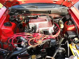 DSCN0100.webp