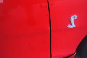 stang152.webp