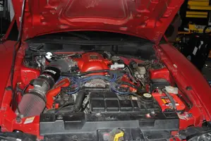 stang130.webp