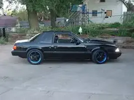 stang.webp