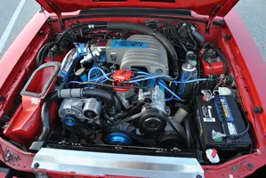 DSC_0010.webp