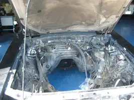14mz6kl.webp