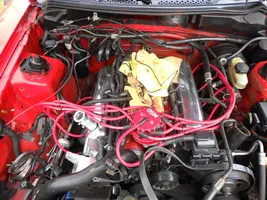DSCN0090.webp