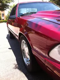 side-profile.webp