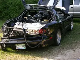 bradspics032.webp