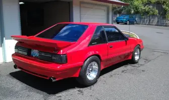 stang5.webp
