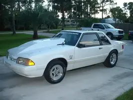 whitemustang.webp