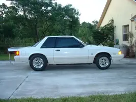 whitemustangside.webp