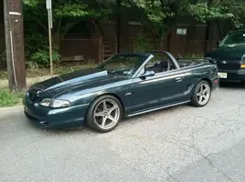 Mustang2.webp