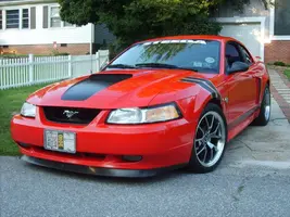 S5000465.webp