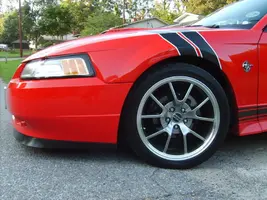 S5000469.webp