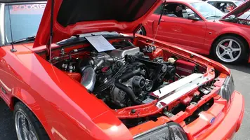 DSCN1849.webp
