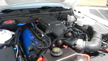 DSCN1864.webp