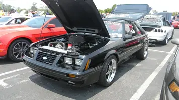 DSCN1713.webp
