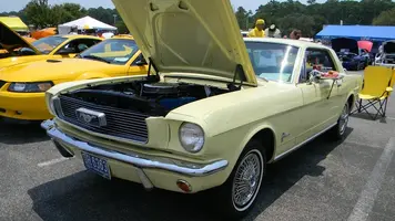 DSCN1735.webp