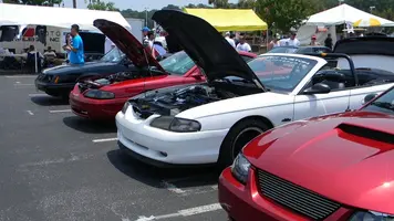 DSCN1737.webp
