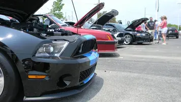 DSCN1898.webp