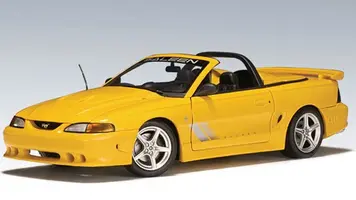 saleen_y.webp