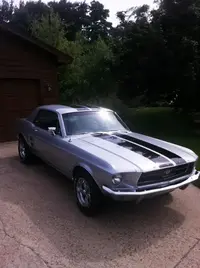 stang2.webp