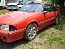 car005.webp