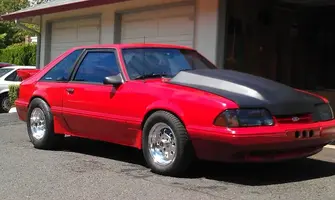 stang3.webp
