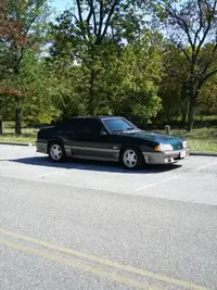 Mustang013.webp