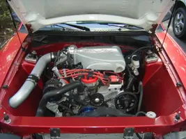 DSCF6185.webp