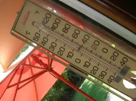 temp001.webp