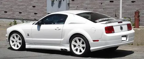 whitestang.webp