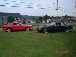 new%20pics%20124[1] (Medium).webp