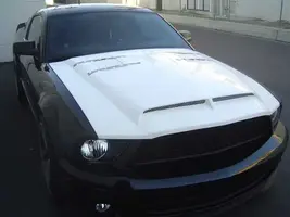 VENOM2.webp