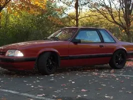 mustang 001s.webp