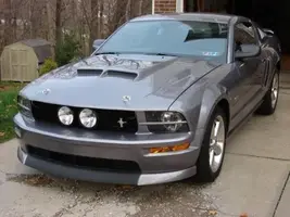My Stang.webp